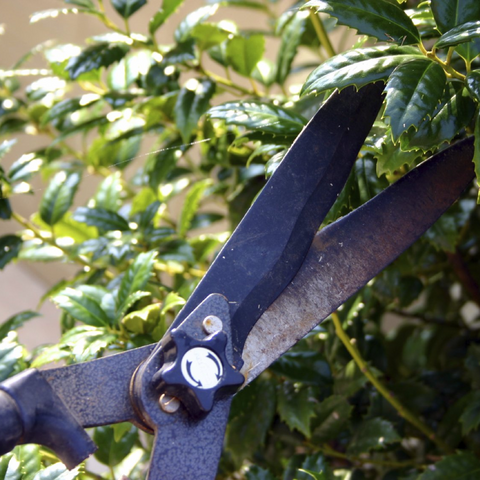 Professionelle Gartenpflege und Grünanlagenpflege im Münchner Westen durch den Hausmeisterservice Maenza.